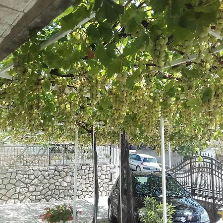 6 דירה קריקווניצה